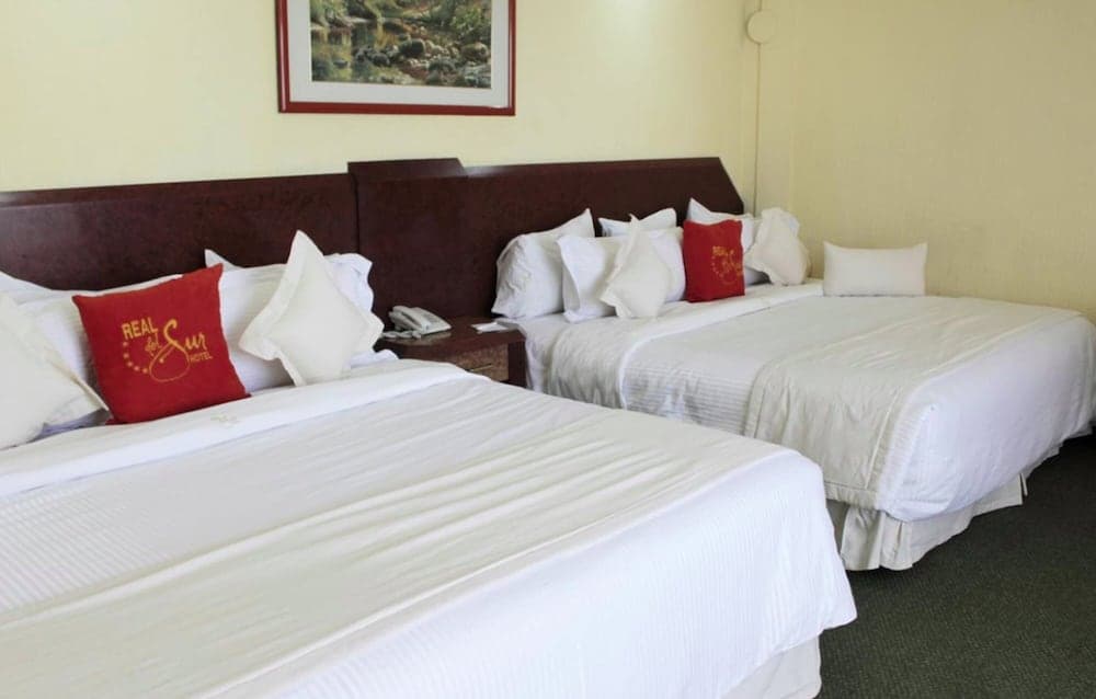 Hotel Real del Sur — 2
