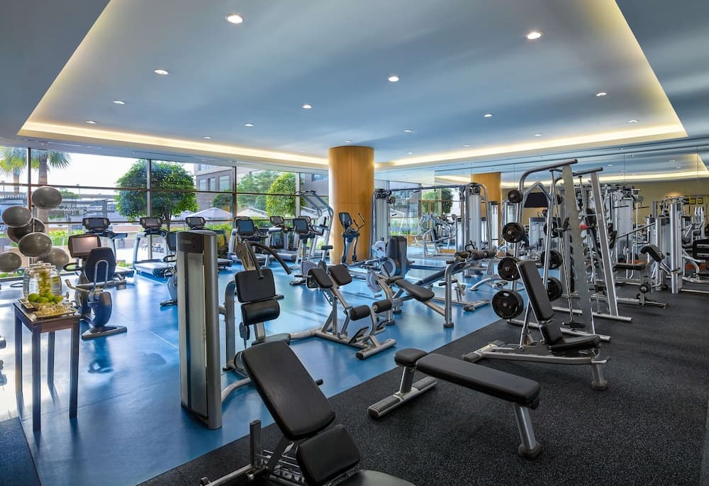 Swissotel Al Ghurair — 22