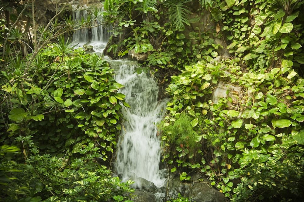 Hotel Jardines de Nivaria — 3