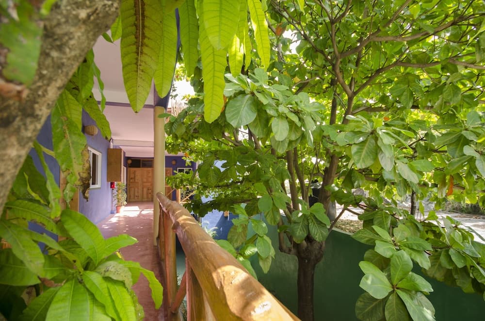 Casa Almendro — 6