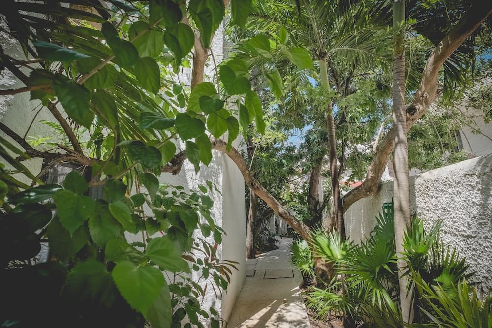 Hotel Sotavento & Yacht Club — 21