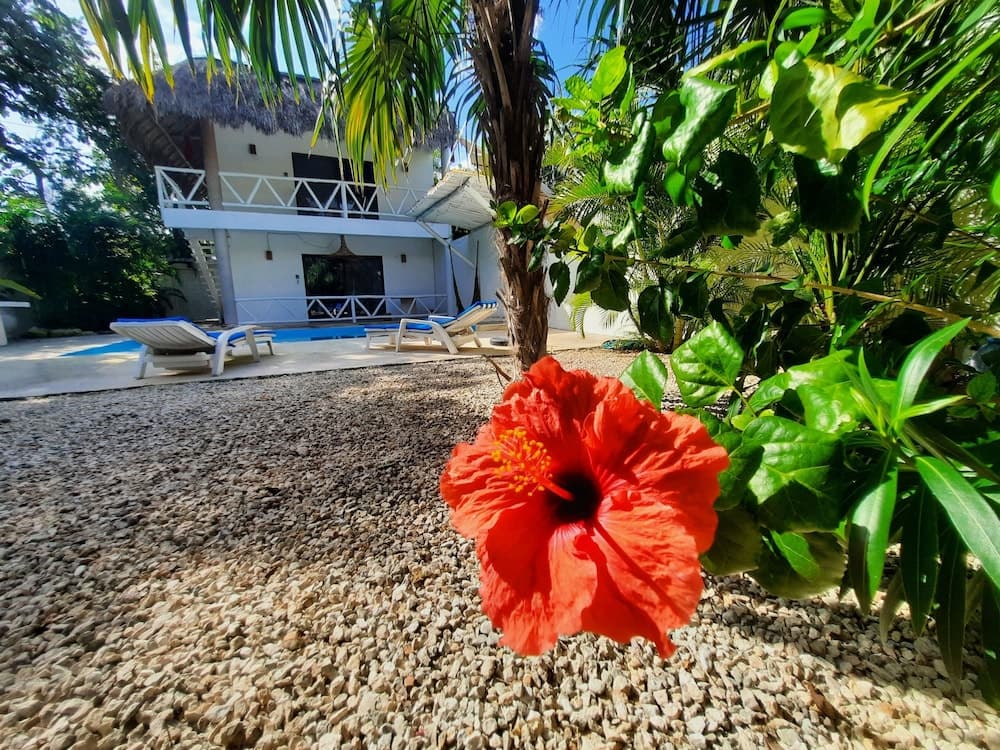 Casa del Mare Tulum — 1