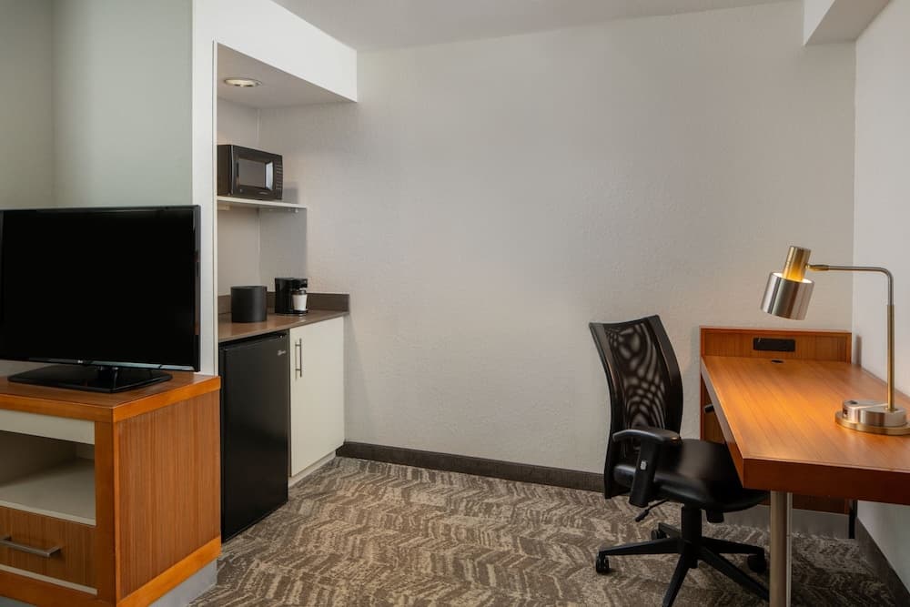 SpringHill Suites by Marriott Convention Center/I-drive — 14
