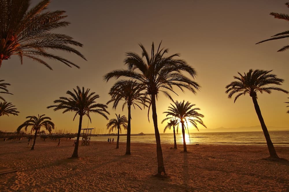 MLL Sahara Nubia Gobi Bay Hotel — 9