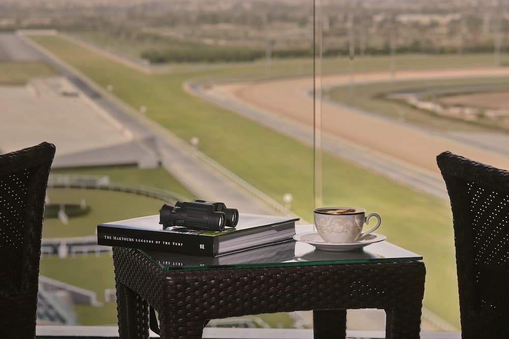 El Hotel Meydan Dubai — 8