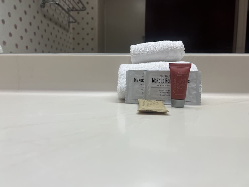 Orlando Palms Hotel — 16