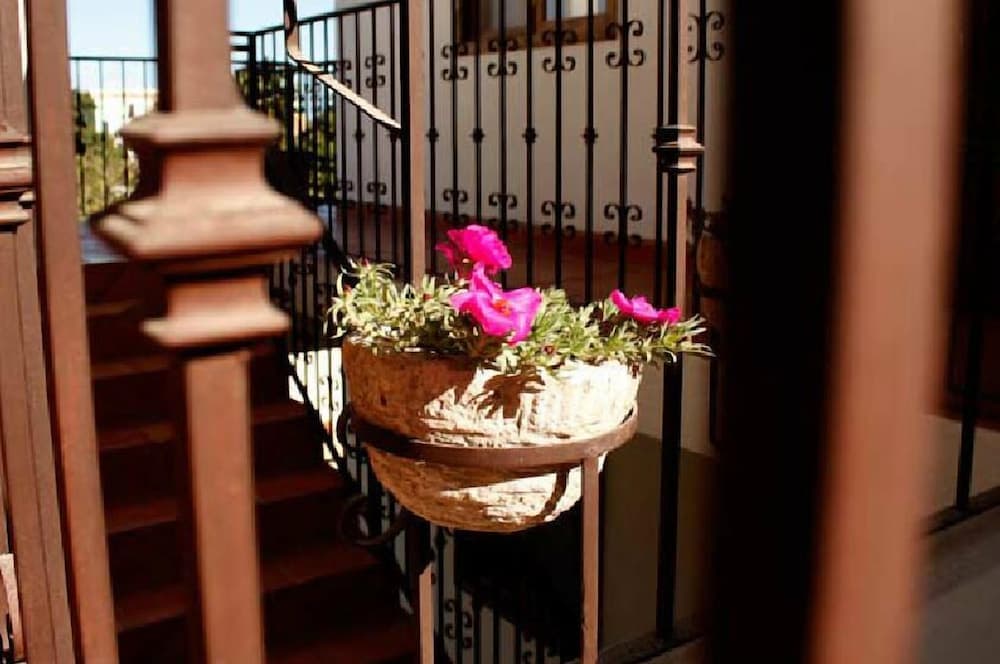 Cabo Cush Hotel — 8