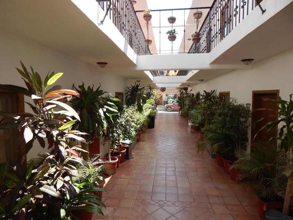 Cabo Cush Hotel — 16