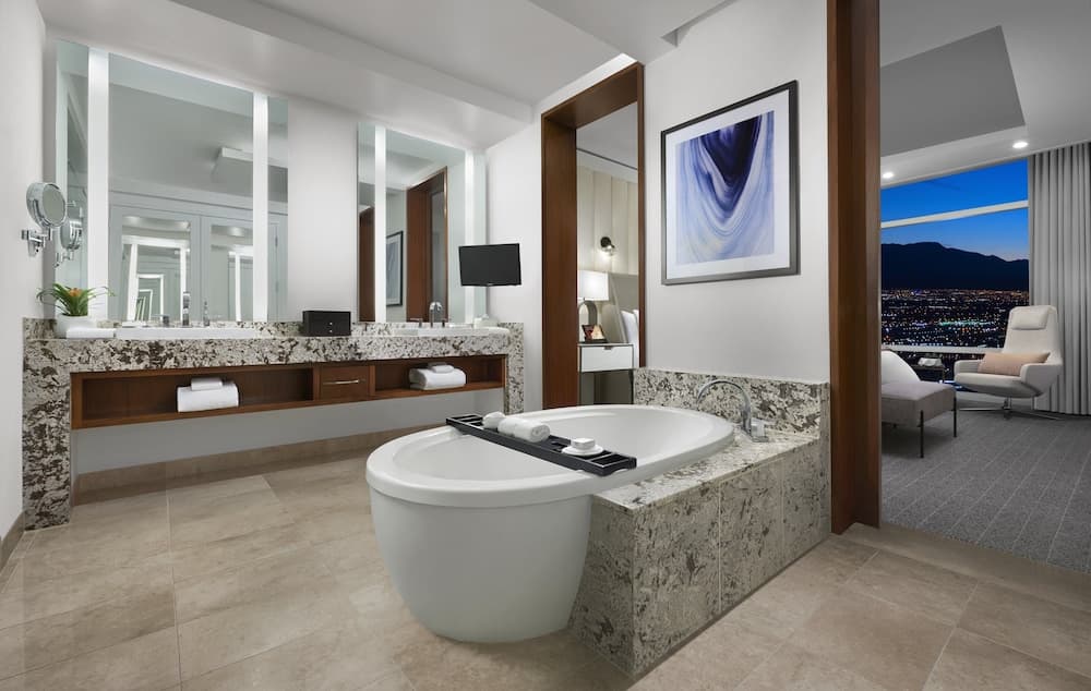 ARIA Sky Suite — 21