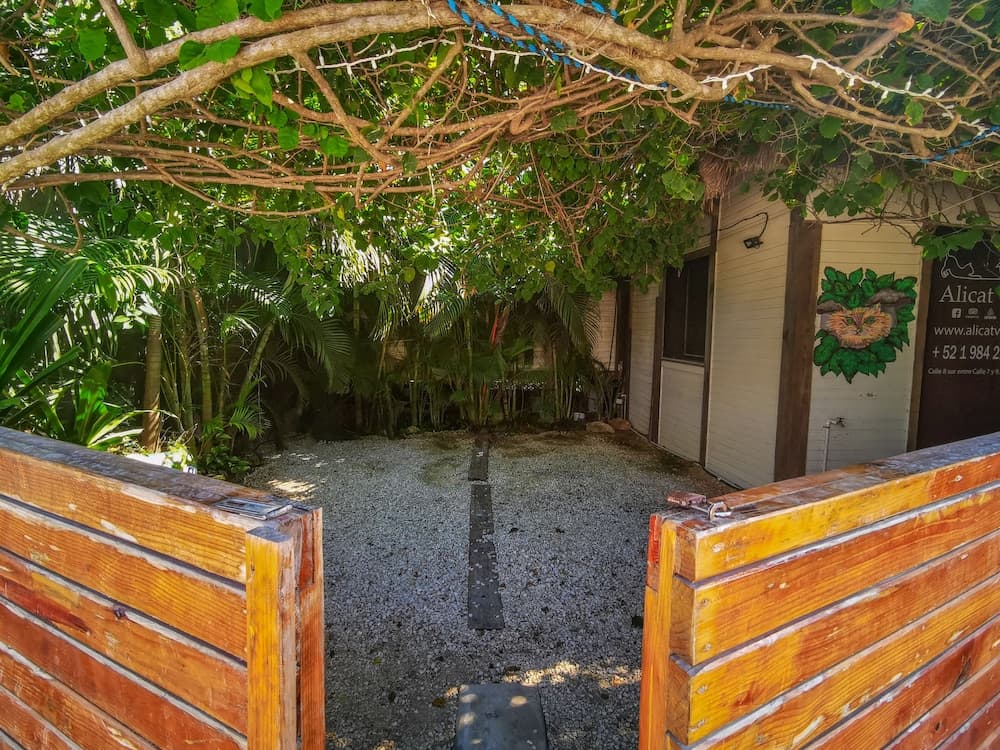 Alicat Villas — 13