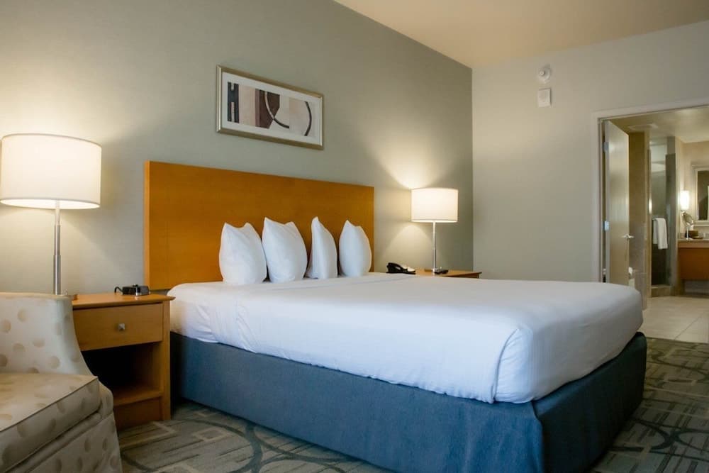 The Platinum Hotel — 11