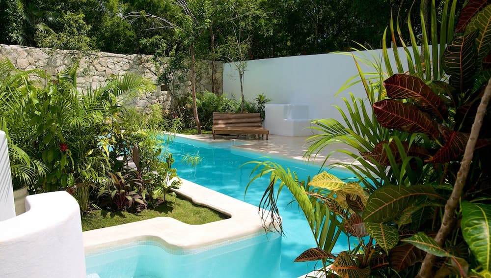 Livetulum — 13