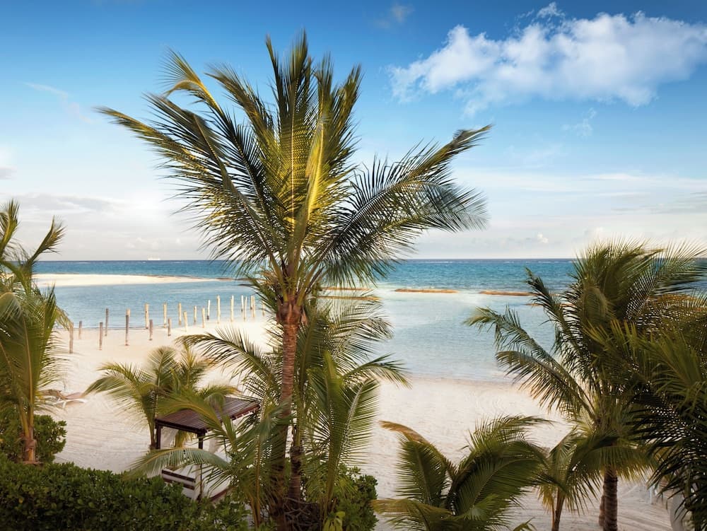 El Dorado Maroma Cenote, Underground Expedition All & More Inclusive - Adults Only — 27