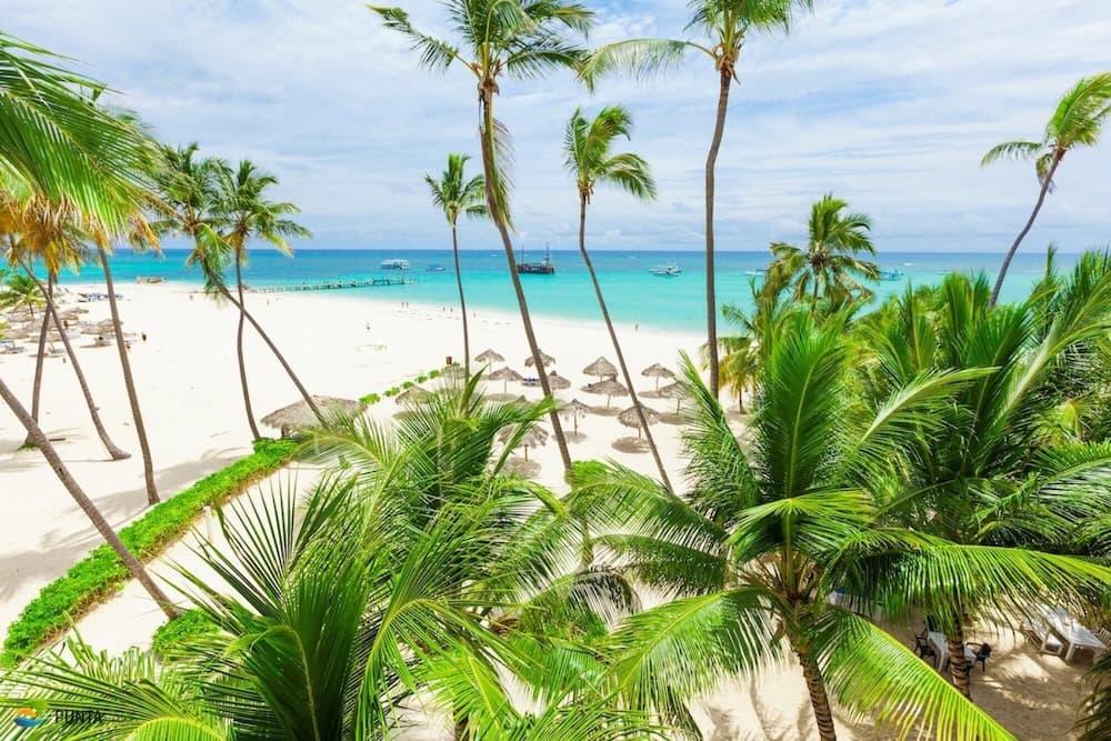 Punta Cana Beachfront Apartment With BBQ Private Terrace — 13