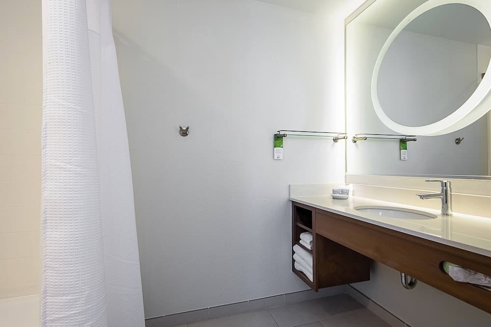 SpringHill Suites by Marriott Tampa North/I 75 Tampa Palms — 22