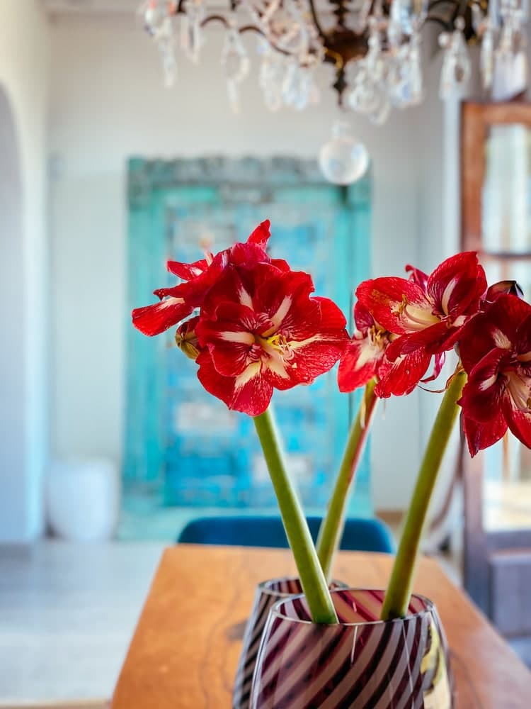 Villa Secret Paradise — 8