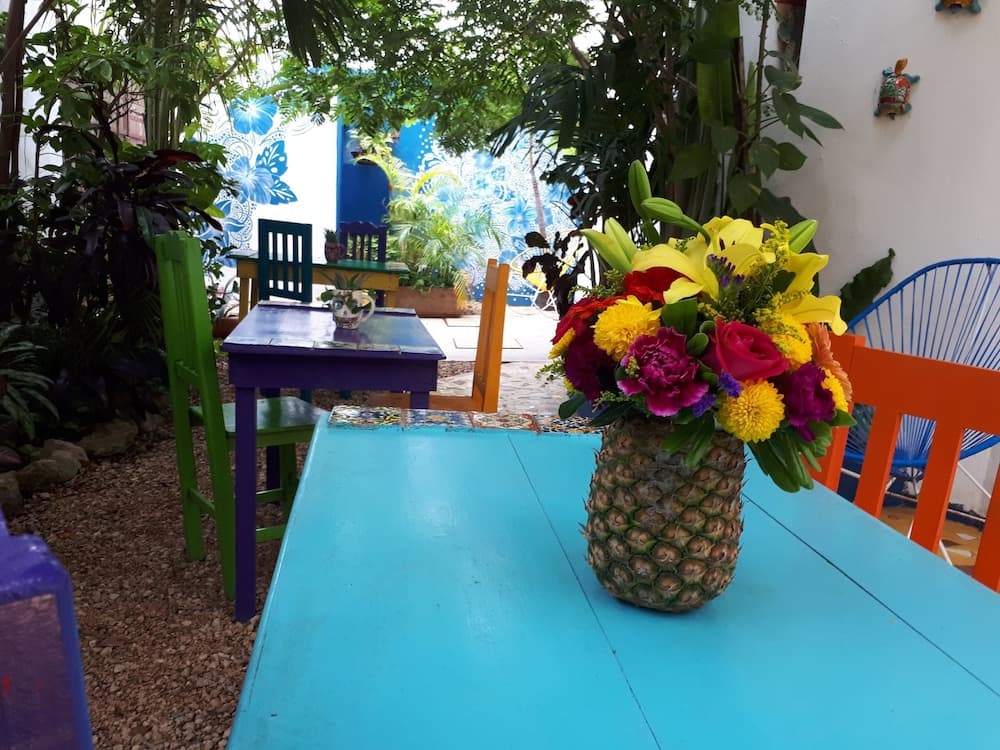 Vainilla B&B Messico — 21