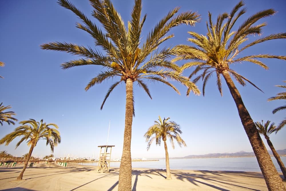 MLL Palma Bay Club Resort Hotel — 19