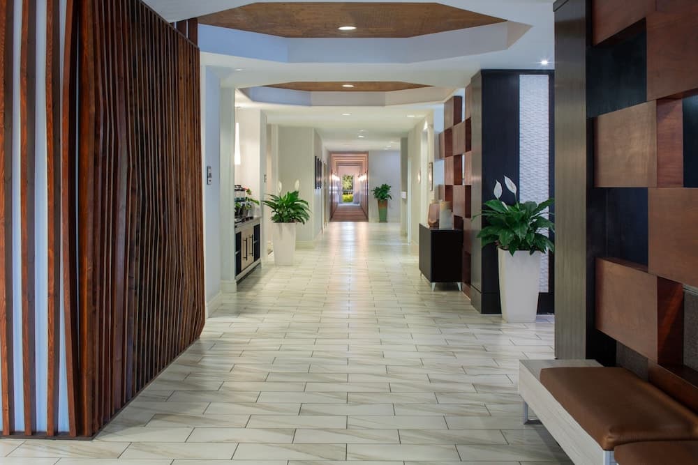 SpringHill Suites by Marriott Convention Center/I-drive — 3