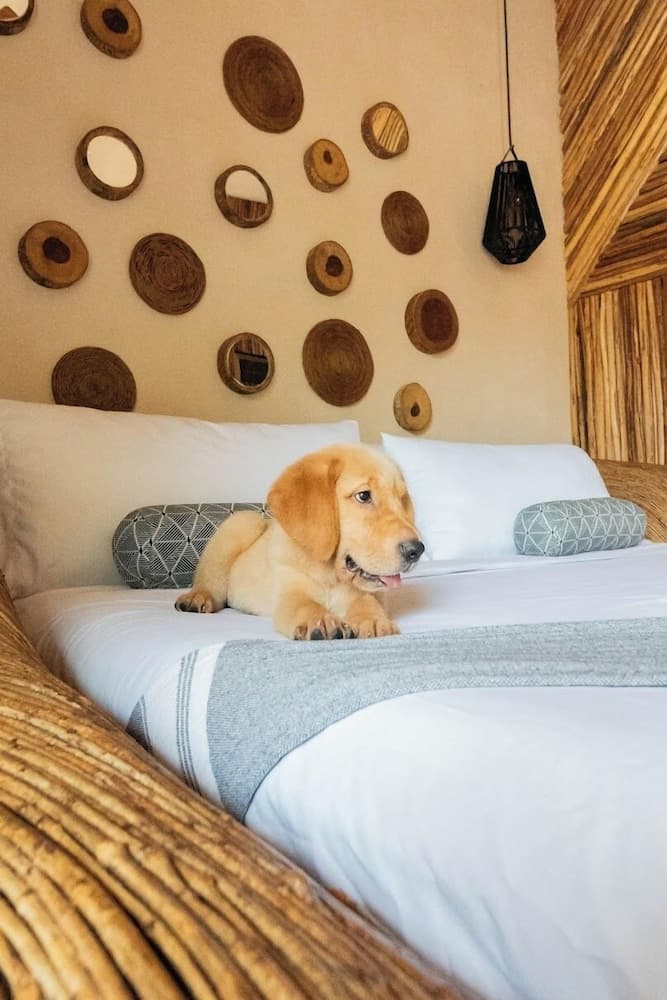 Cervecería Tulum Boutique Hotel & Beer Spa — 10