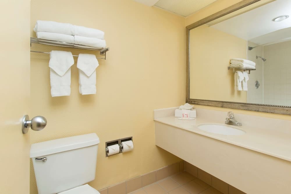 Ramada Plaza Resort & Suites by Wyndham Orlando Intl Drive — 21