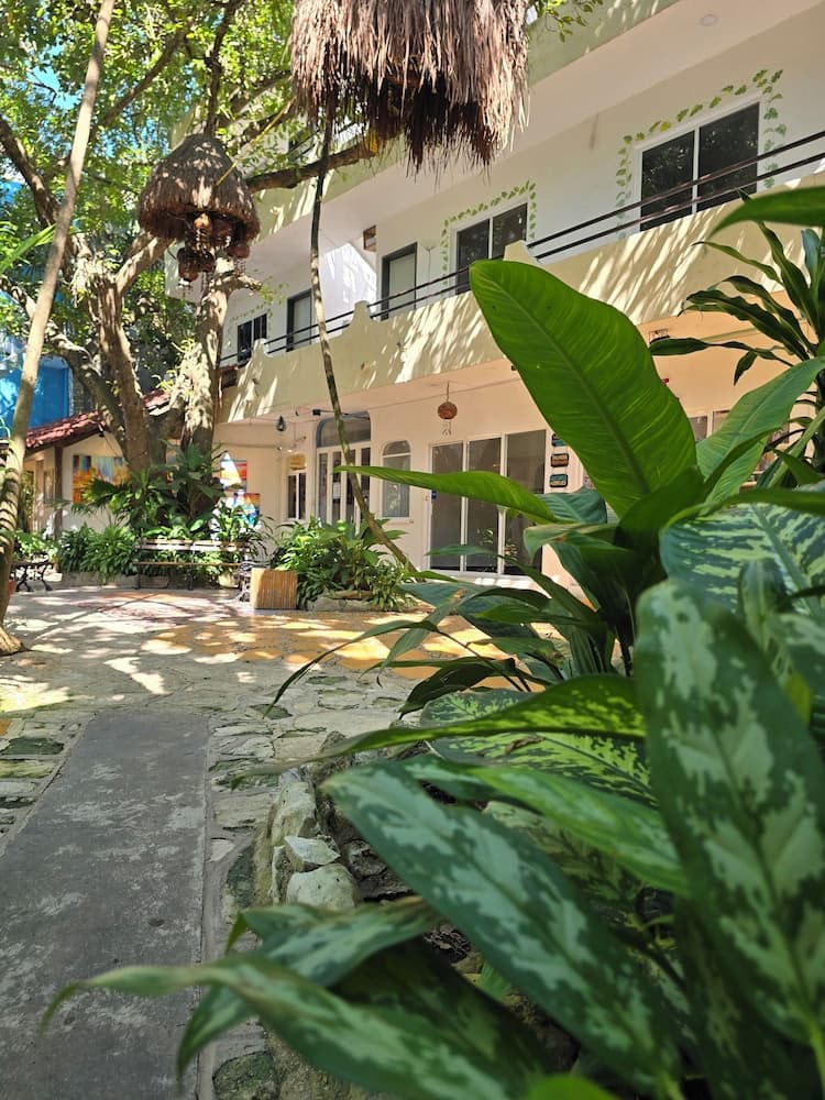 Hotel Ha — 1