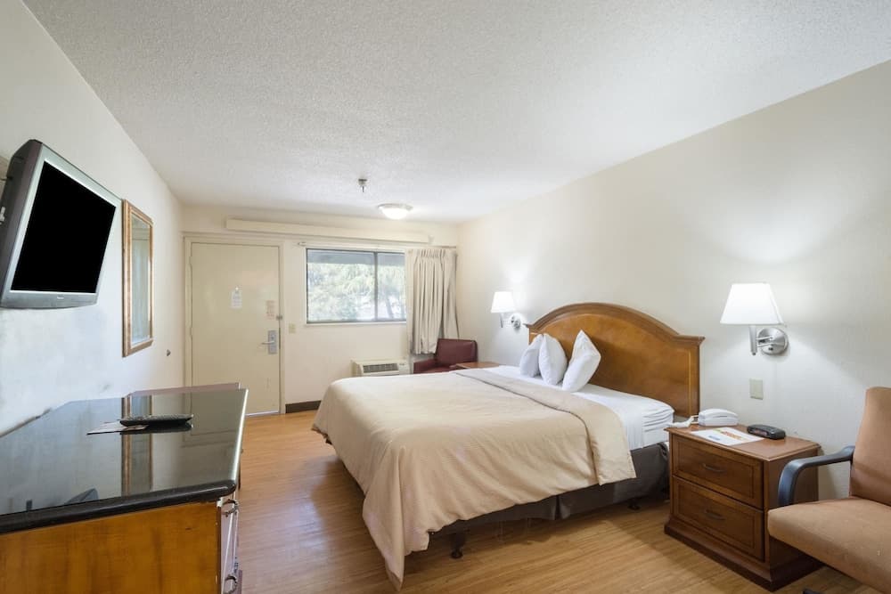 Rodeway Inn Tampa vicino a Busch Gardens - USF — 10