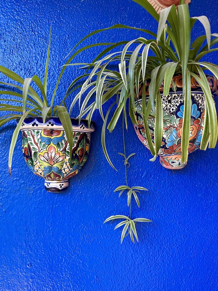 Siesta Suites Boutique Hotel — 27