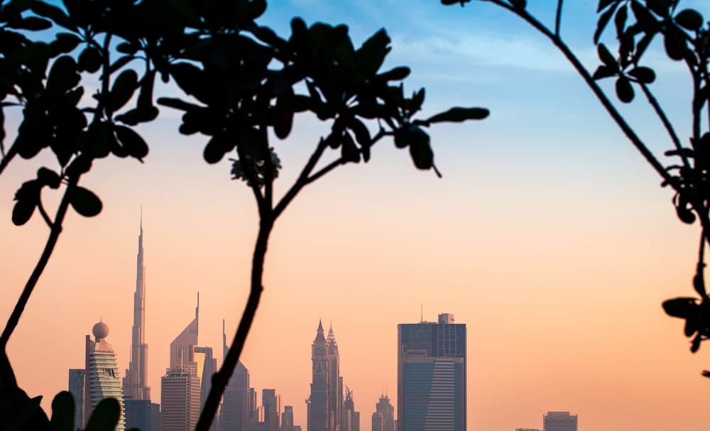 DoubleTree by Hilton Dubai M Square Hotel e Residenze — 16