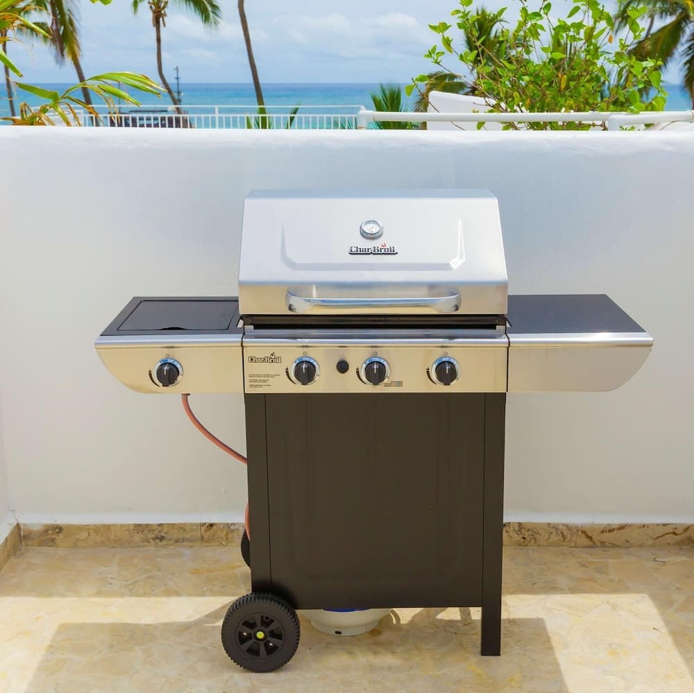 Punta Cana Beachfront Apartment With BBQ Private Terrace — 28