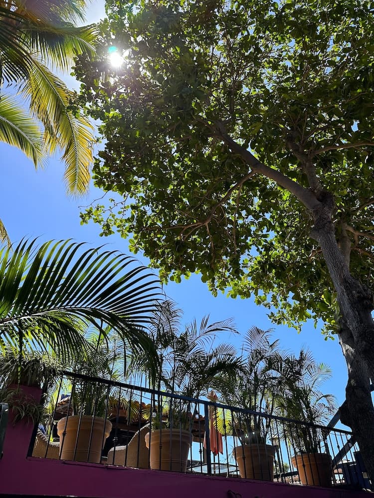 Siesta Suites Boutique Hotel — 11