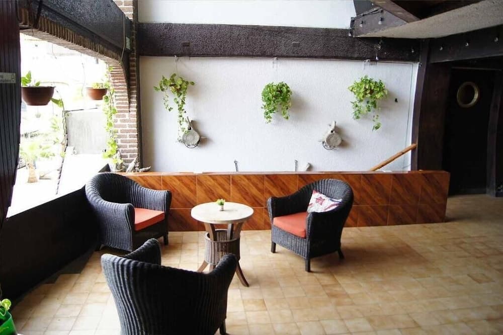 Cabo Tortuga Hotel Boutique — 4