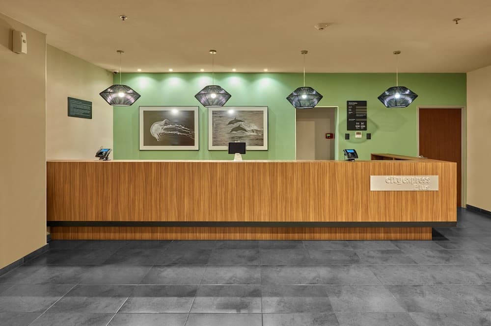 City Express Plus by Marriott Cabo San Lucas — 4