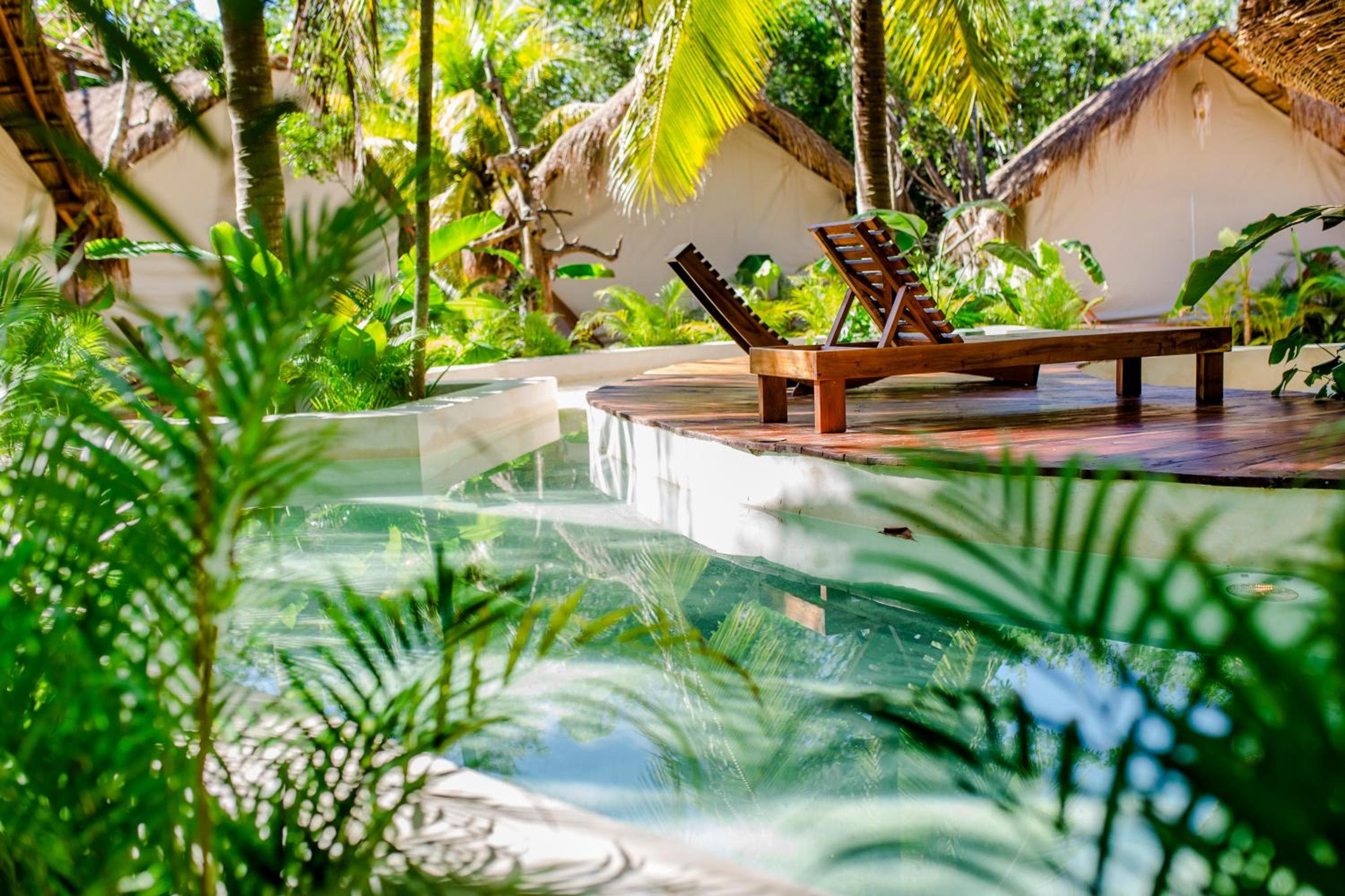 Serena Tulum - Adults Only — 4