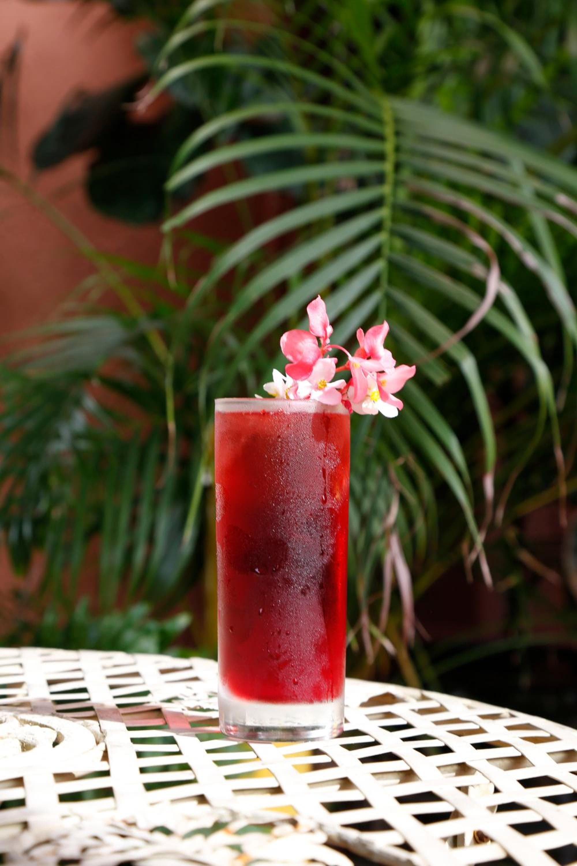 Life House, Little Havana — 10