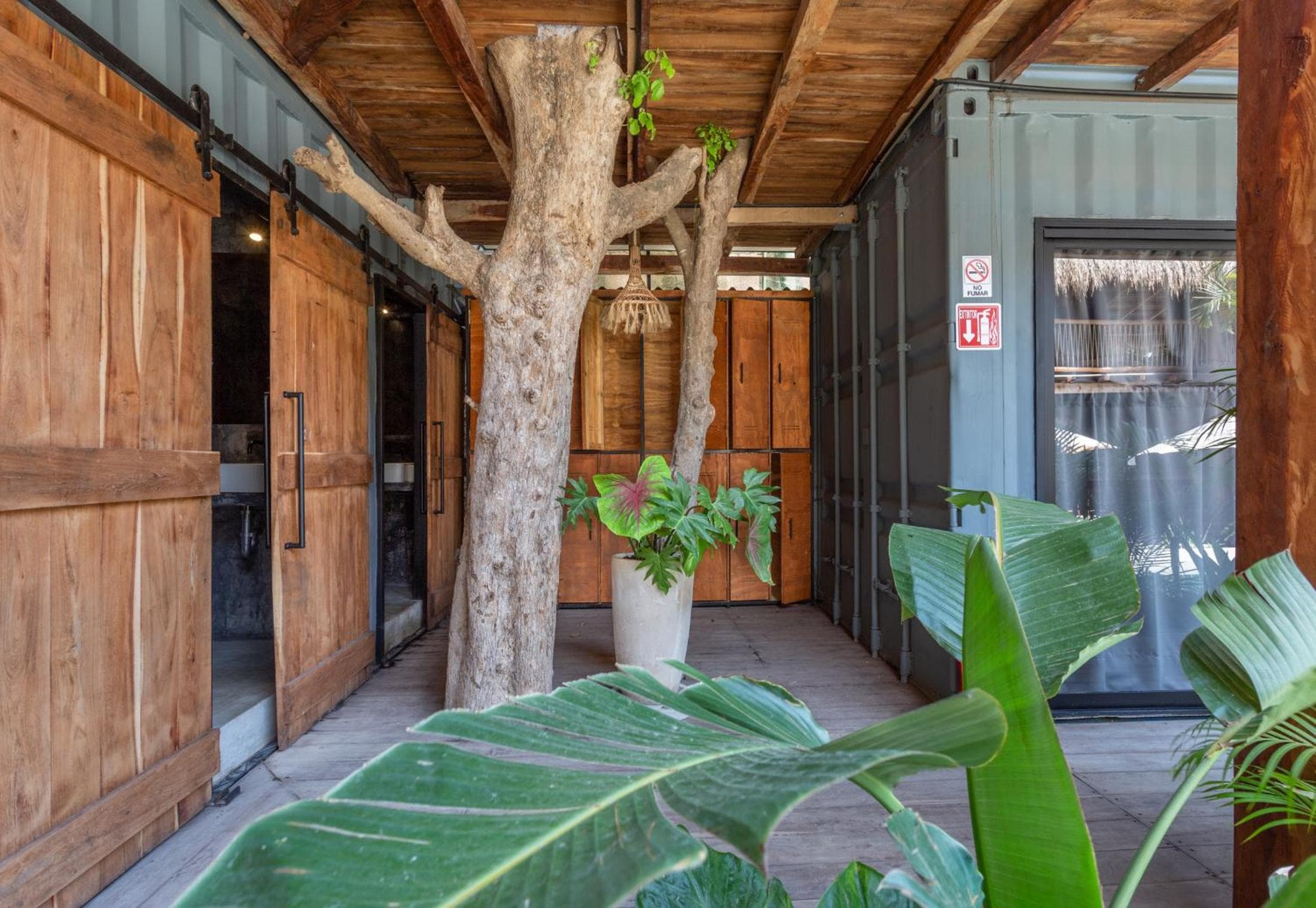 Meteora Stay & Coffeehouse Tulum — 20