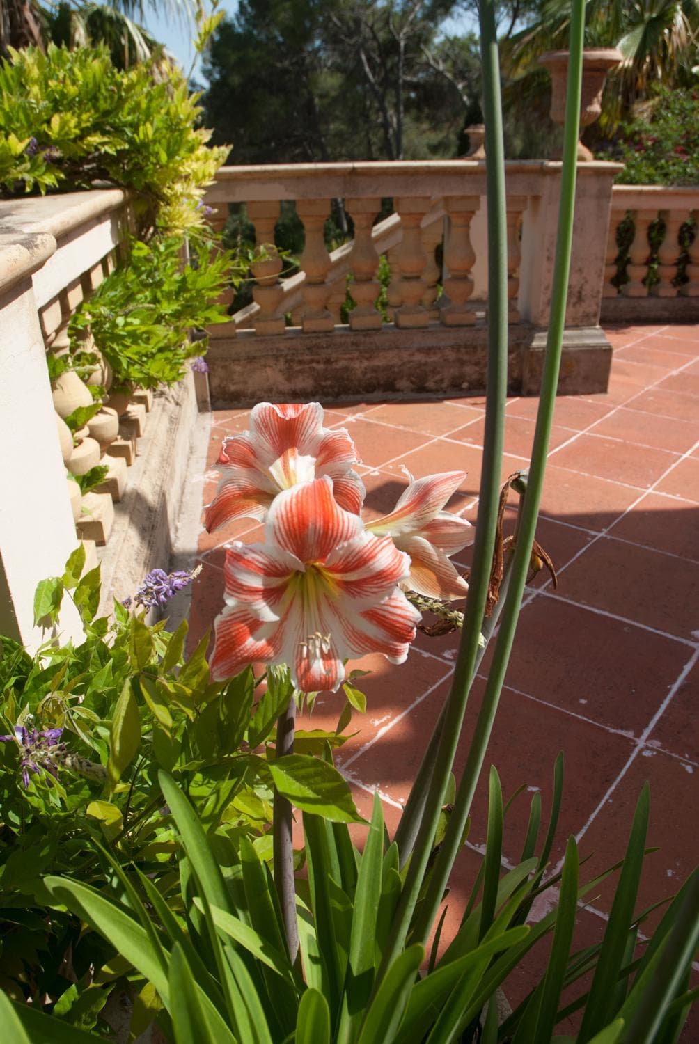 Casa de las Vistas — 14