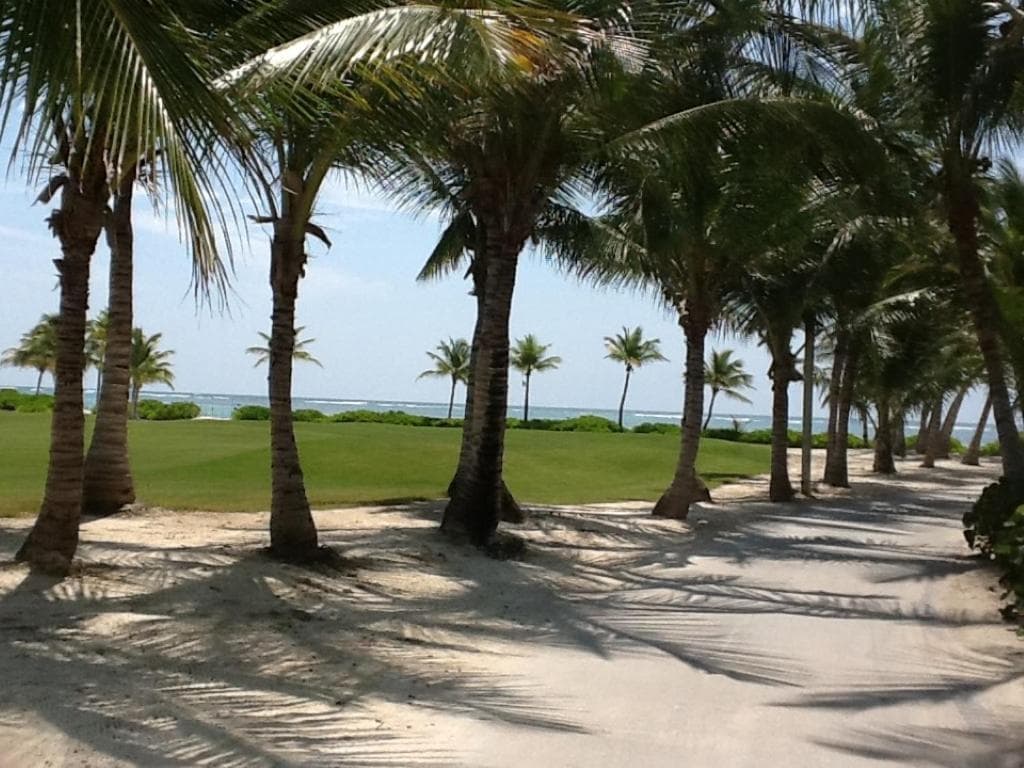 Spacious 3 BDR fully-equipped condo with pool and golf view — 8