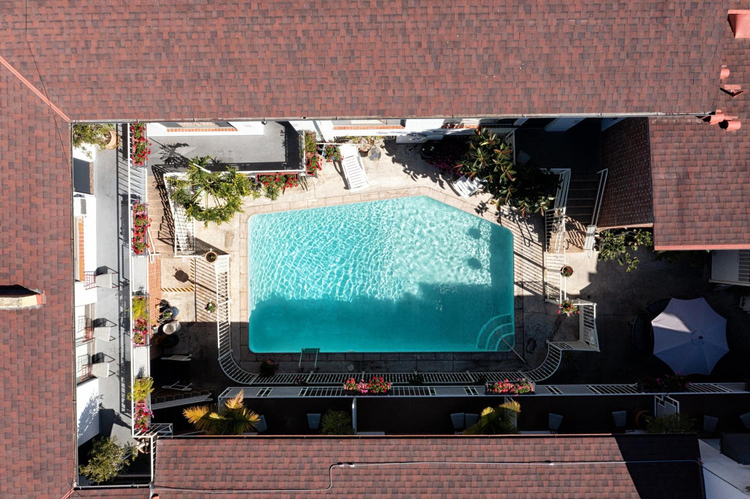 Hollywood Downtowner Inn — 3