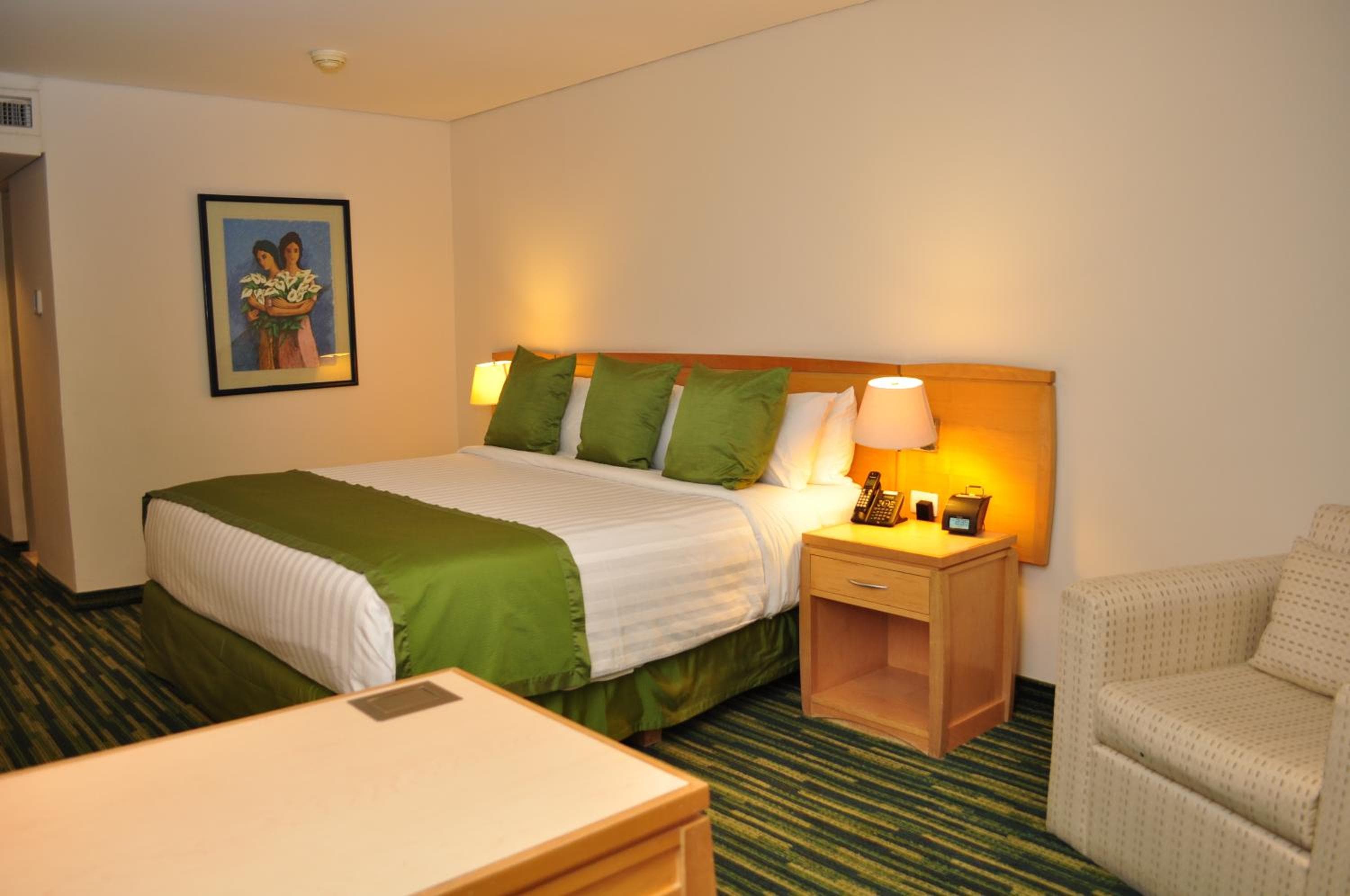 Radisson Paraiso Hotel Mexico City — 28