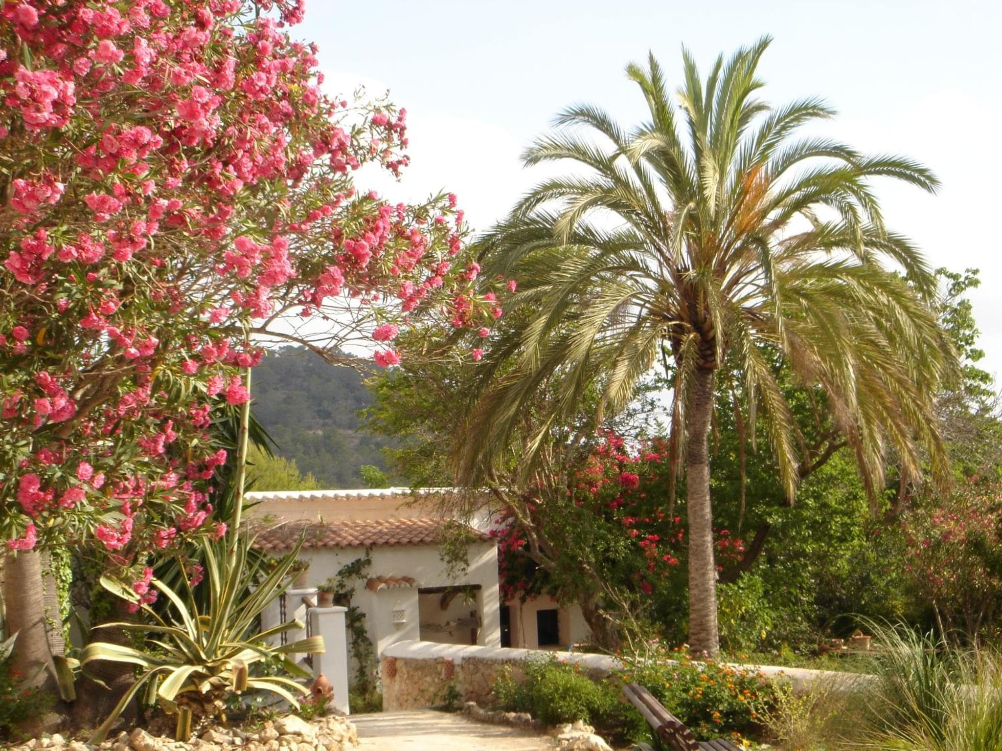 Charming Ibiza House — 1