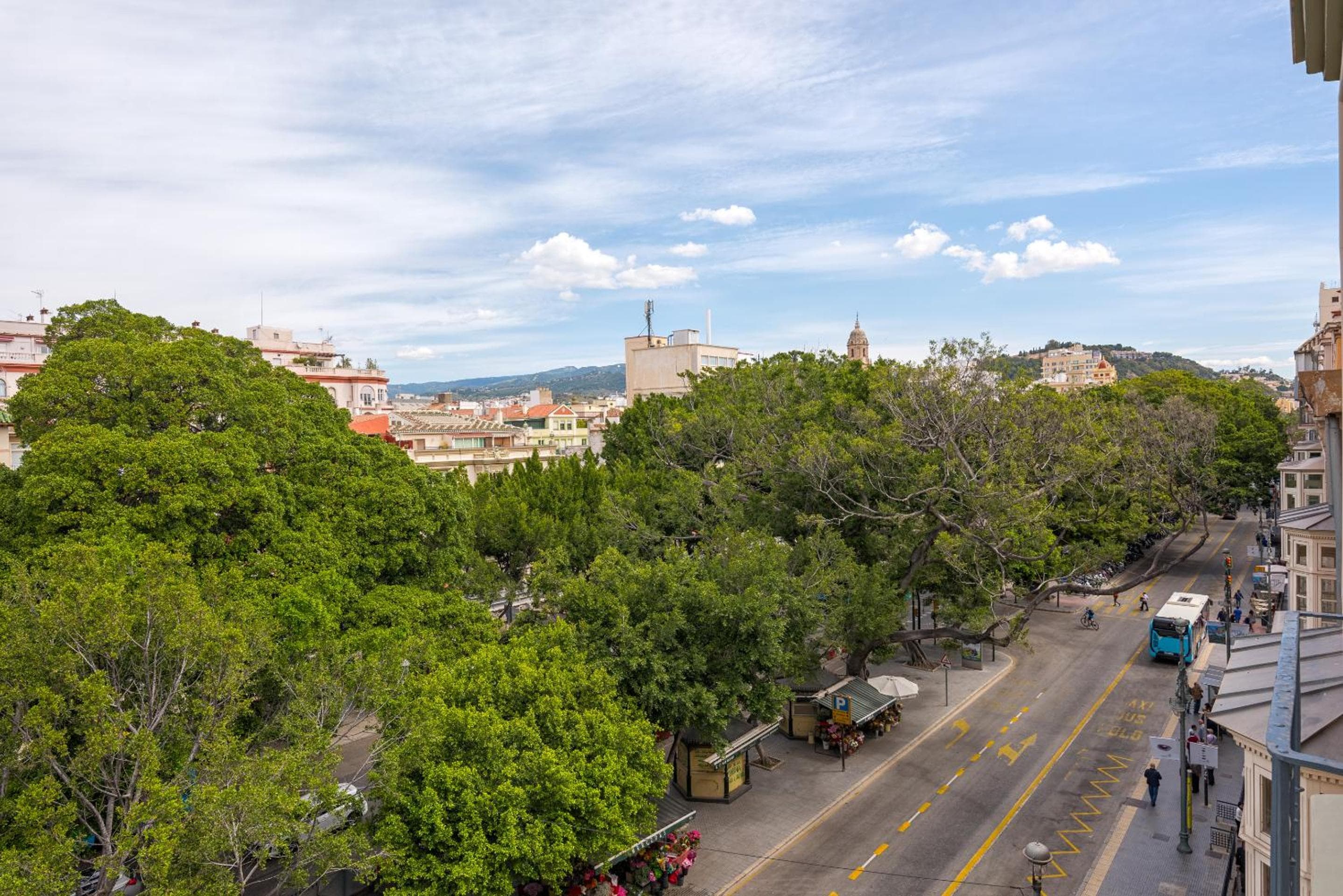 iloftmalaga Premium Alameda Principal — 14