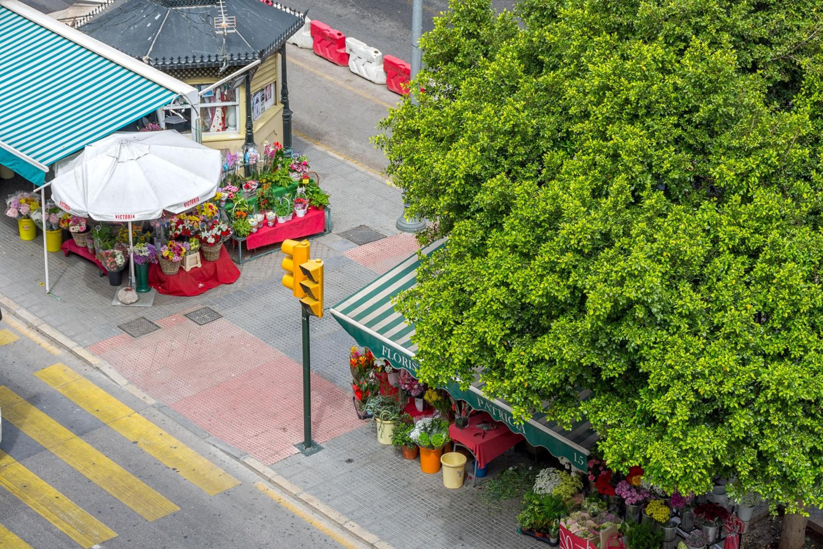 iloftmalaga Premium Alameda Principal — 8