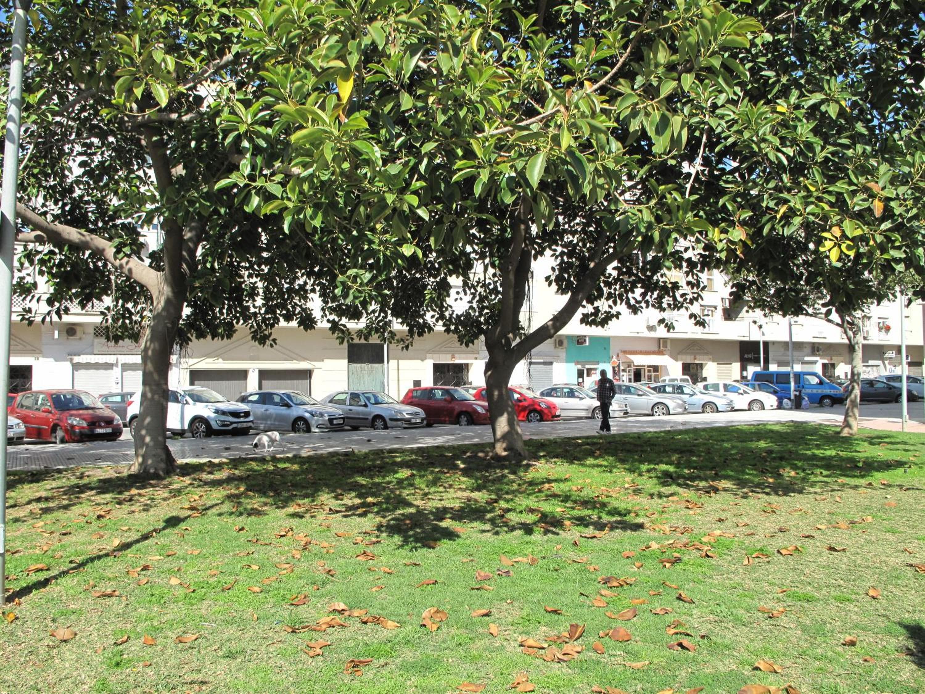 Jalón Playa — 12