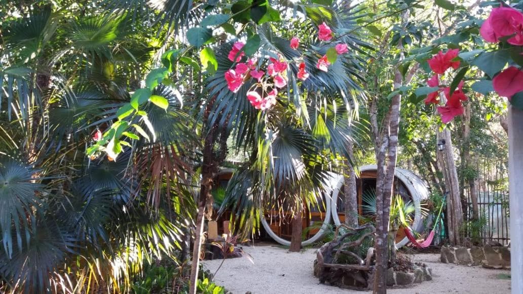 Tubo Tulum Hostel - Unique Stay — 7