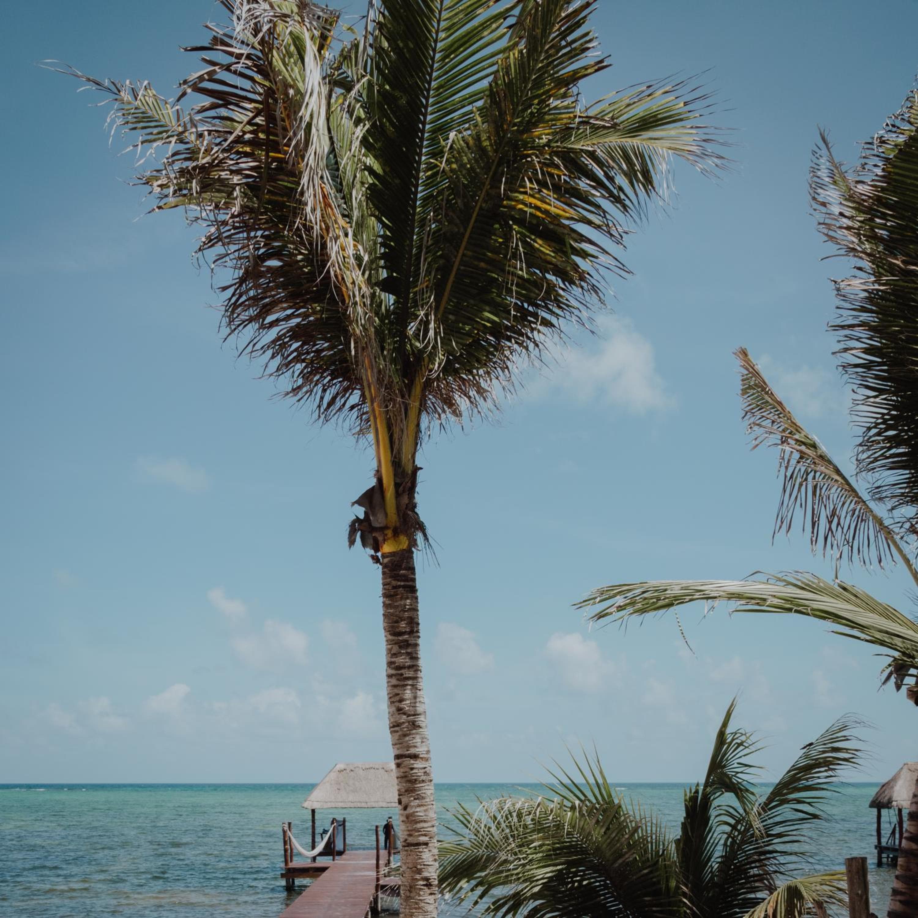Cielo Maya Beach Tulum — 9