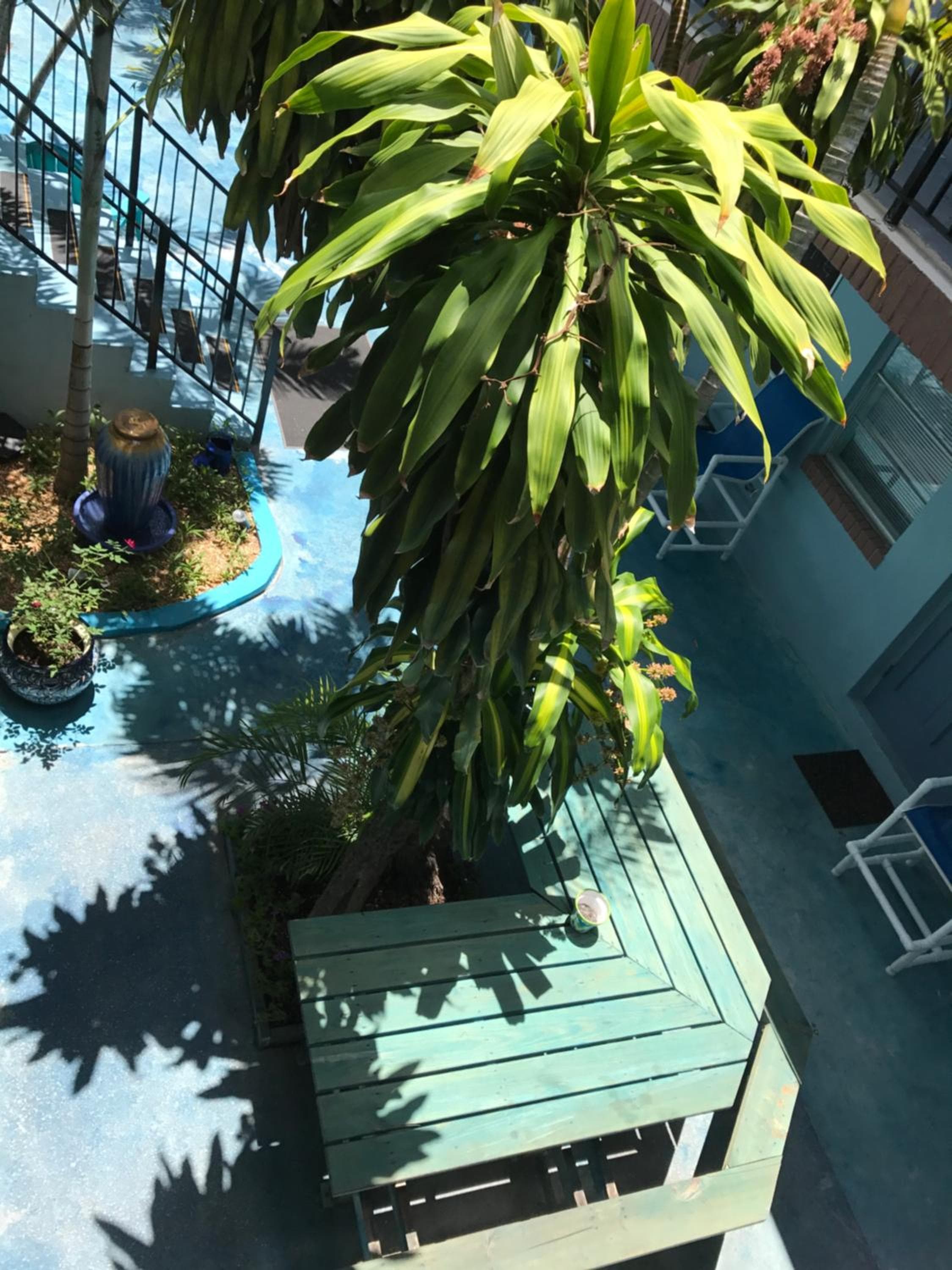 Blue Bell Apartment Hotel — 17