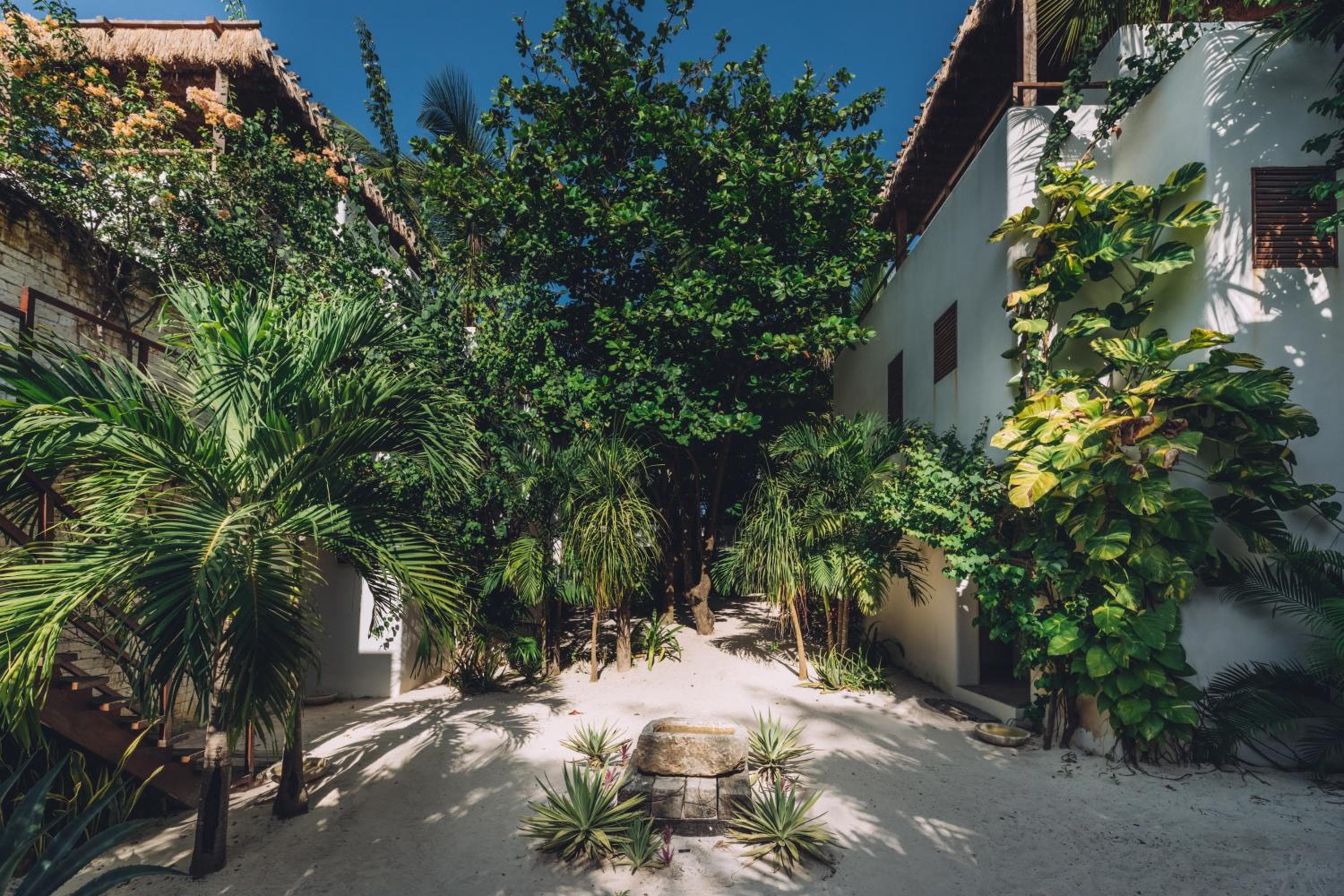 Chiringuito Tulum — 10