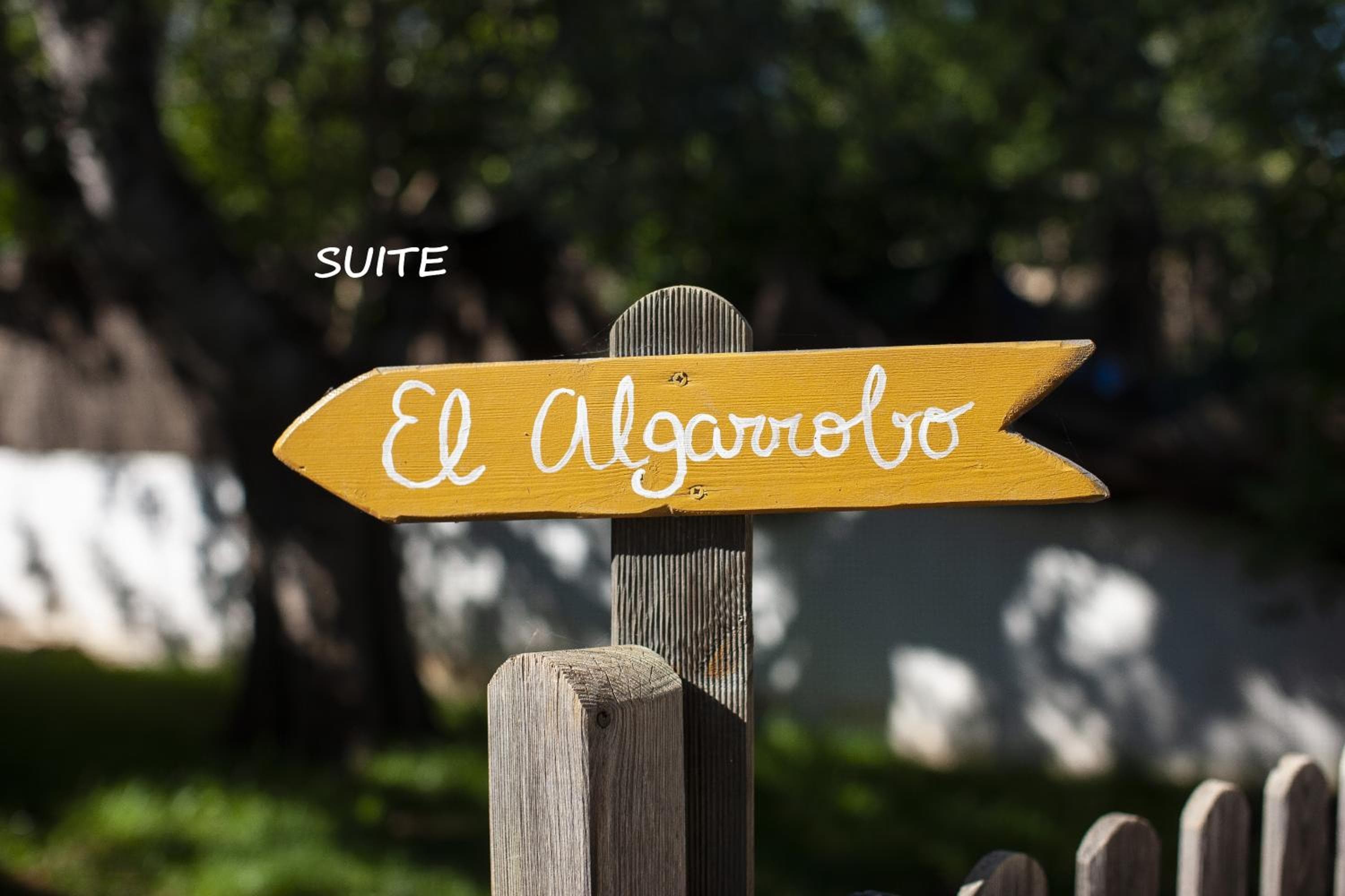 Agriturismo Casa Morna Ibiza — 6
