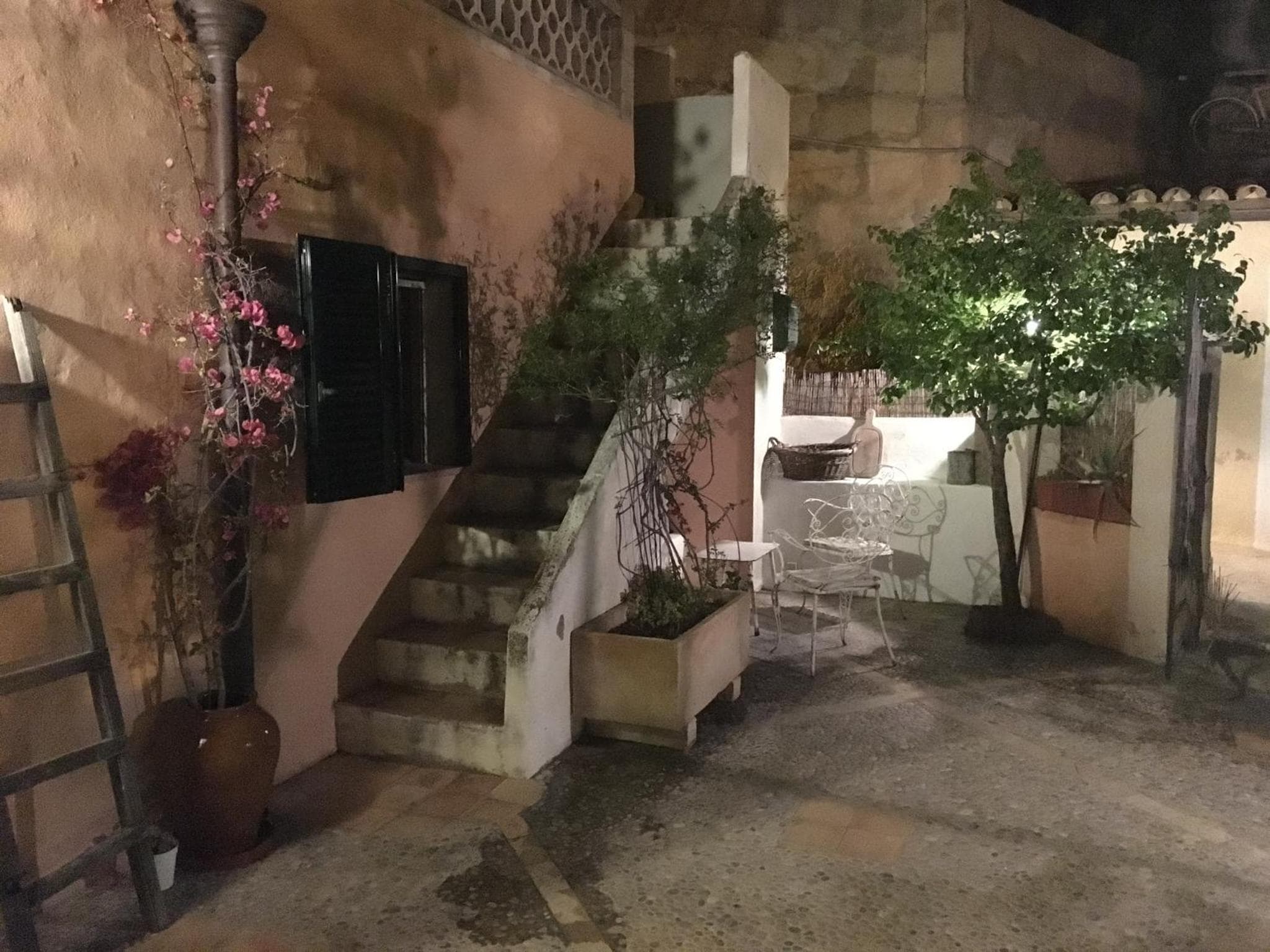 Casita rosa — 6